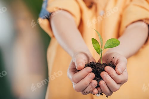 Preview: selective focus of child holding young plant on blurred background, earth day concept