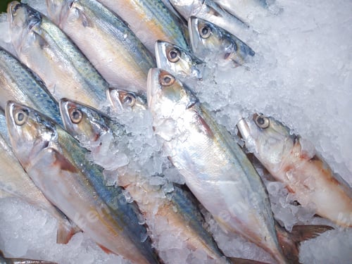 Preview: Fresh fish on ice at fish market