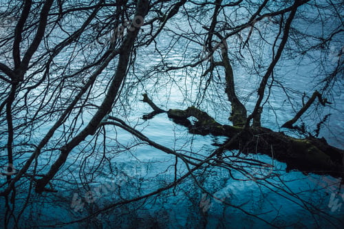 Preview: Dark water