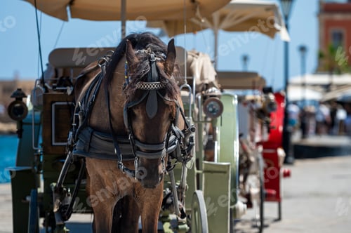 Preview: Horse-drawn carriage waiting at Chania harbor in Crete on a sunny day