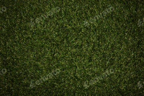 Preview: top view of field with green grass