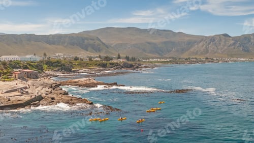 Preview: Kayakers at Hermanus in South Africa