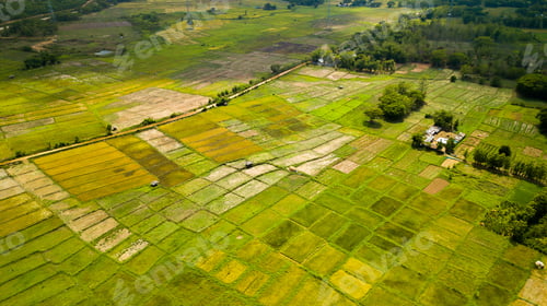 Preview: Rice Terrace Aerial Shot. Image of beautiful terrace rice field