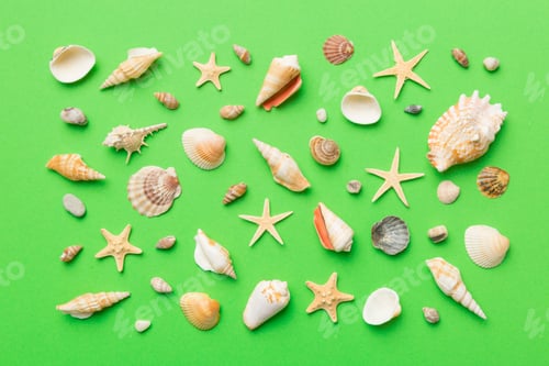 Preview: Summer time concept Flat lay composition with beautiful starfish