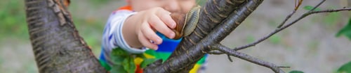 Preview: The child looks at the snail. Selective focus.