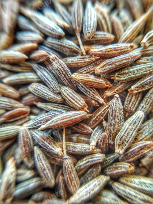Preview: CUMIN SEEDS
