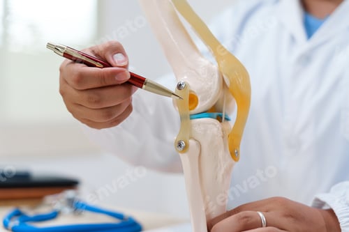 Preview: A doctor uses a knee joint model to demonstrate anatomy, diagnose conditions like osteoarthritis