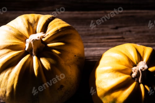Preview: halloween pumpkins ready for carving