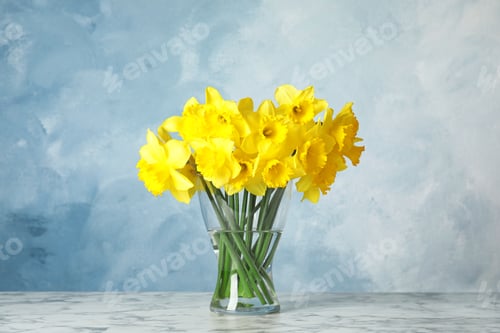 Preview: Bouquet of daffodils in vase on table against color background. Fresh spring flowers