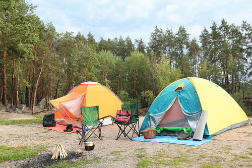Preview: Camping tents and accessories in wilderness on summer day