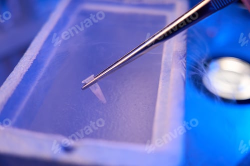 Preview: Preparation of cryogenic tube filled with cell samples for cryopreservation