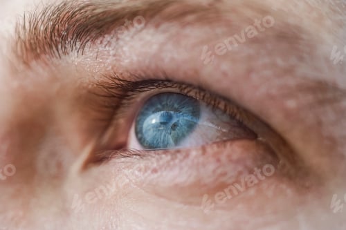 Preview: Human blue eye macro shot