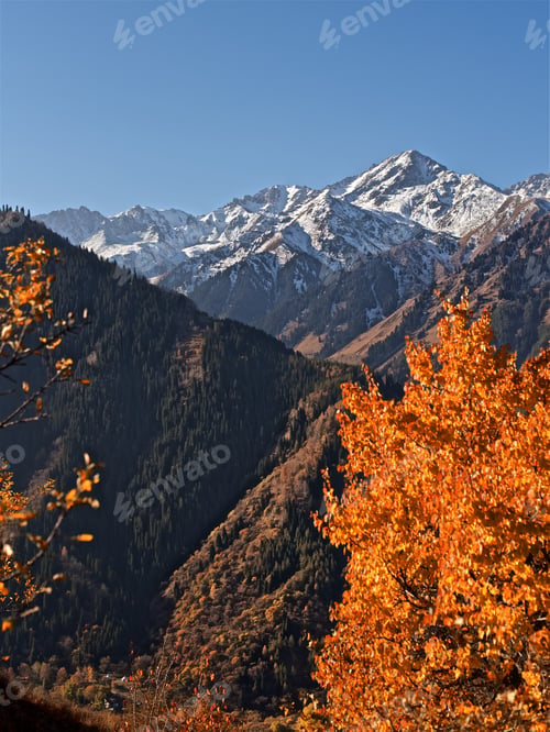 Preview: Autumn landscape