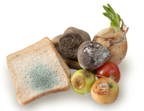 Preview: spoiled bread, fruits and vegetables on an isolated white background.