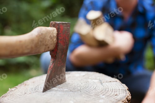 Preview: Cropped close up of axe in garden tree stump