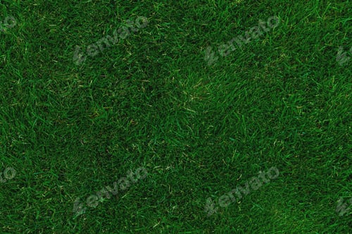 Preview: Background of green grass