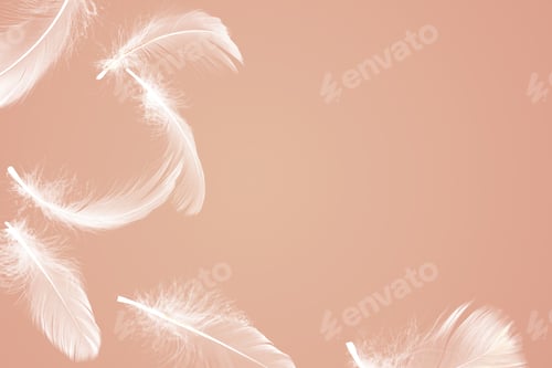 Preview: Fluffy bird feathers in air on pale coral background, space for text