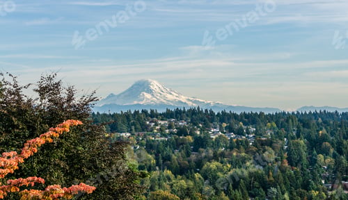 Preview: A Landscape View Of Mount Rainier From Burien, Washington In The Fall.