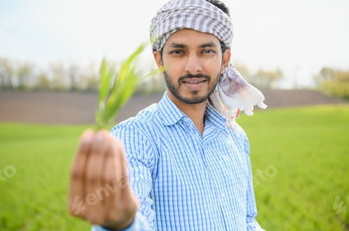 Preview: Portrait of young Indian Farmer wearing formal dress in green paddy field.