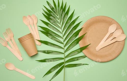 Preview: Paper plates and cups, wooden spoons and forks on a green background
