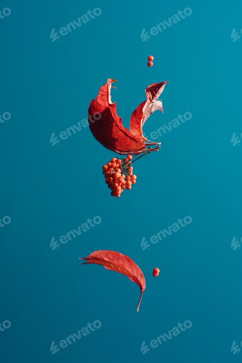 Preview: Fall composition. Autumn Red leaves and berries on mirror with reflection of blue sky background