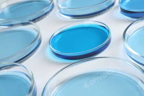 Preview: Many Petri dishes with light blue liquids on white background, closeup