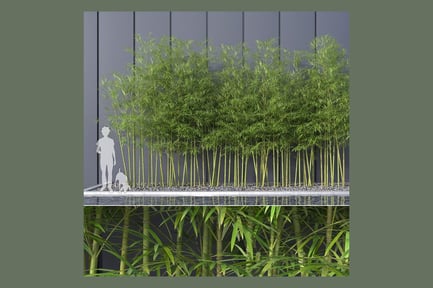 Preview: Clumping Bamboo Grove with GrowFX
