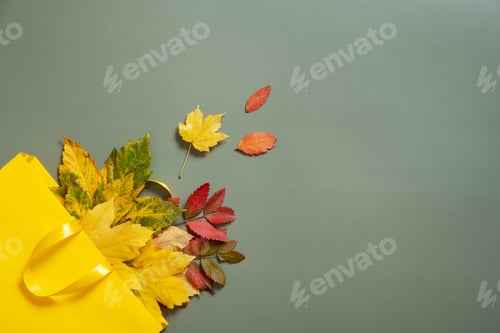 Preview: Composition of autumn fallen leaves in shopping bag on green background