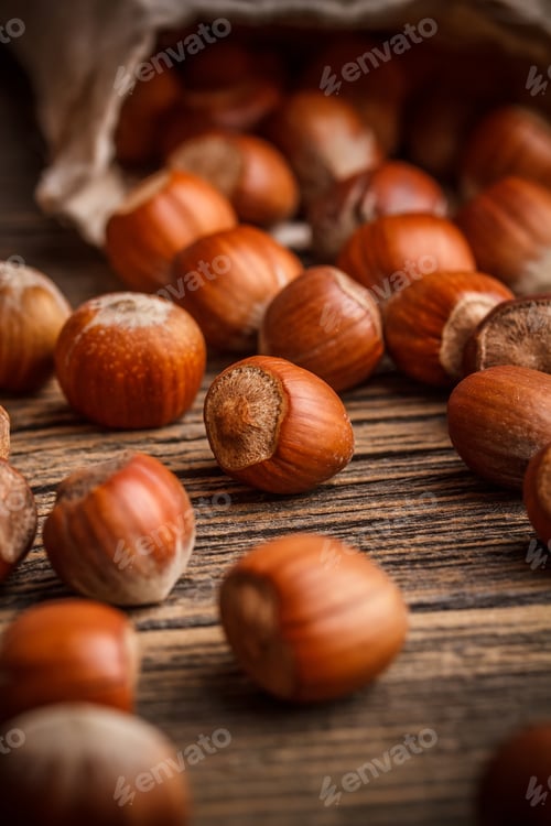 Preview: Hazelnuts