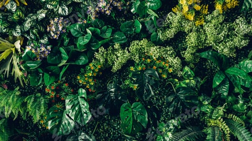 Preview: Close up group of background tropical green leaves texture and abstract background.