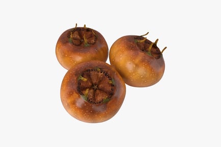 Preview: Persimmons with cross-section