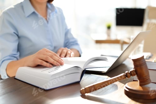 Preview: Female lawyer working at table in office