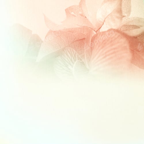 Preview: Colorful Flowers In Soft And Blur Style On Mulberry Paper Texture