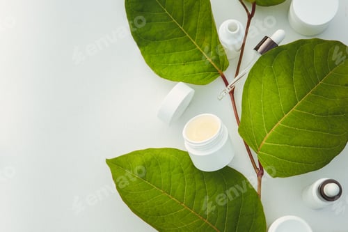 Preview: Opened jar of cream and serum with a pipette on large leaves. Natural cosmetics concept,