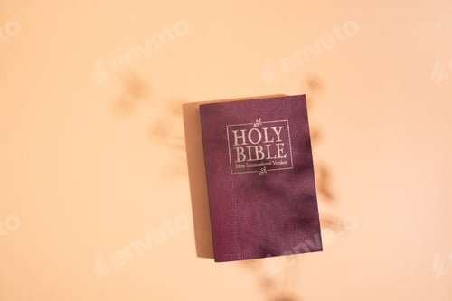 Preview: Holy bible with shadows leaf on orange background top view