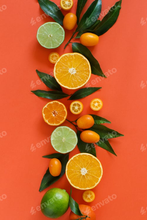 Preview: Citrus fruits on a coral red background