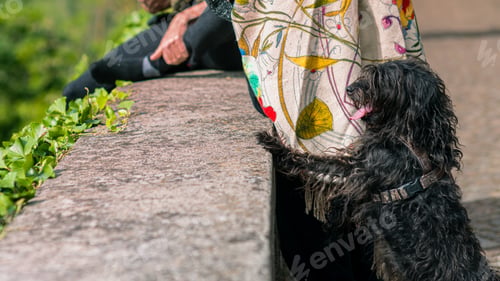 Preview: Closeup shot of a person sitting with a telephone and dog