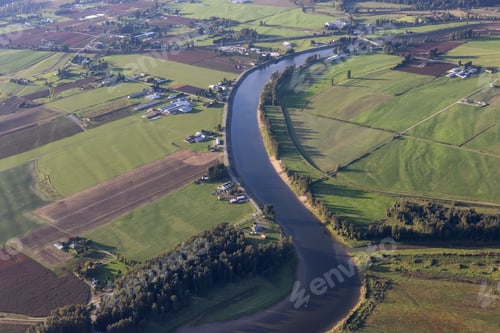 Preview: Aerial View of green Farm Field in Fraser Valley