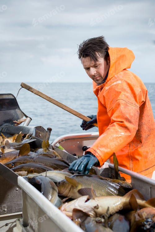 Preview: Fisherman on boat with fish