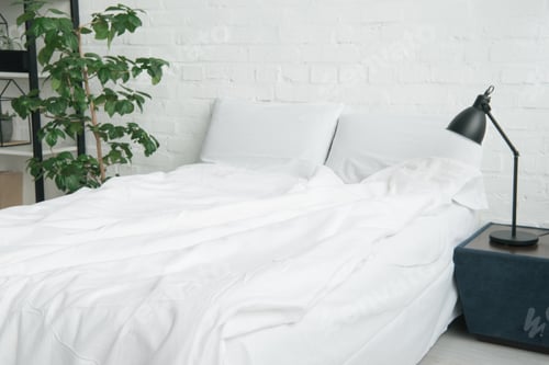 Preview: bed with white blanket and pillows, plant and lamp on nightstand