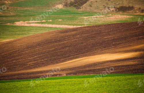 Preview: Rolling hills in spring