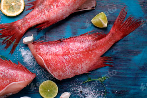 Preview: Redfish or perch with other ingredients and ice around on the blue table. Cooking with frozen fish