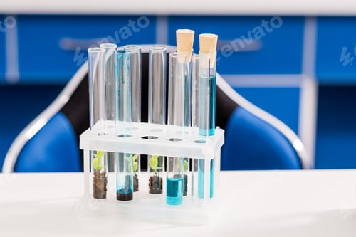 Preview: Tubes with plants standing on table in empty chemical laboratory