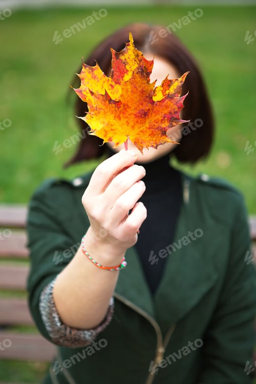 Preview: A woman with a yellow fallen maple leaf covers her face.