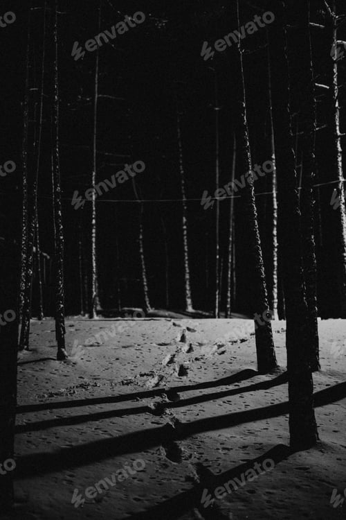 Preview: Footsteps in the snow of a dark forest