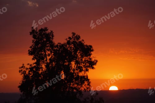 Preview: sun