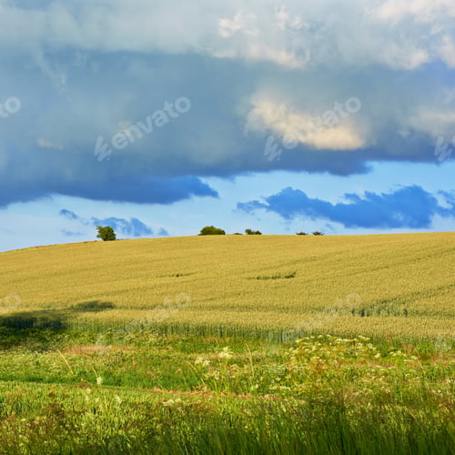Preview: Springtime in the countryside