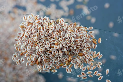Preview: Closeup of a spoon with Indian flea seeds isolated on a blue surface