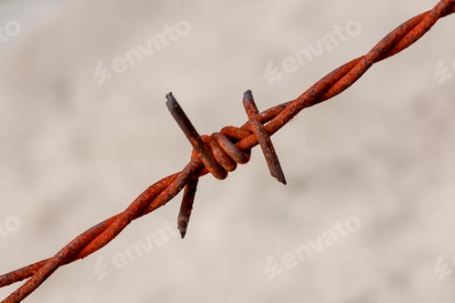 Preview: Old barbed wire is rusty.