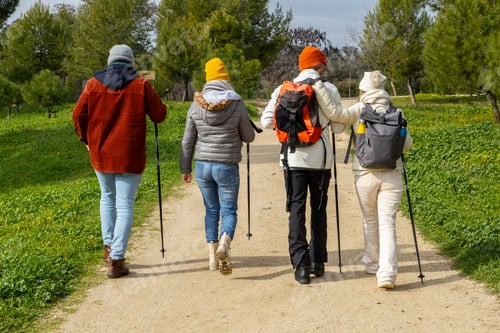 Preview: Hikers walking on path in park enjoying nature